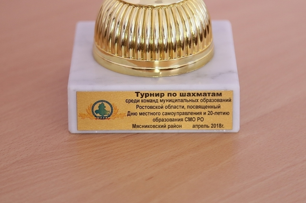 Волгодонские шахматисты выиграли турнир среди команд Ростовской области