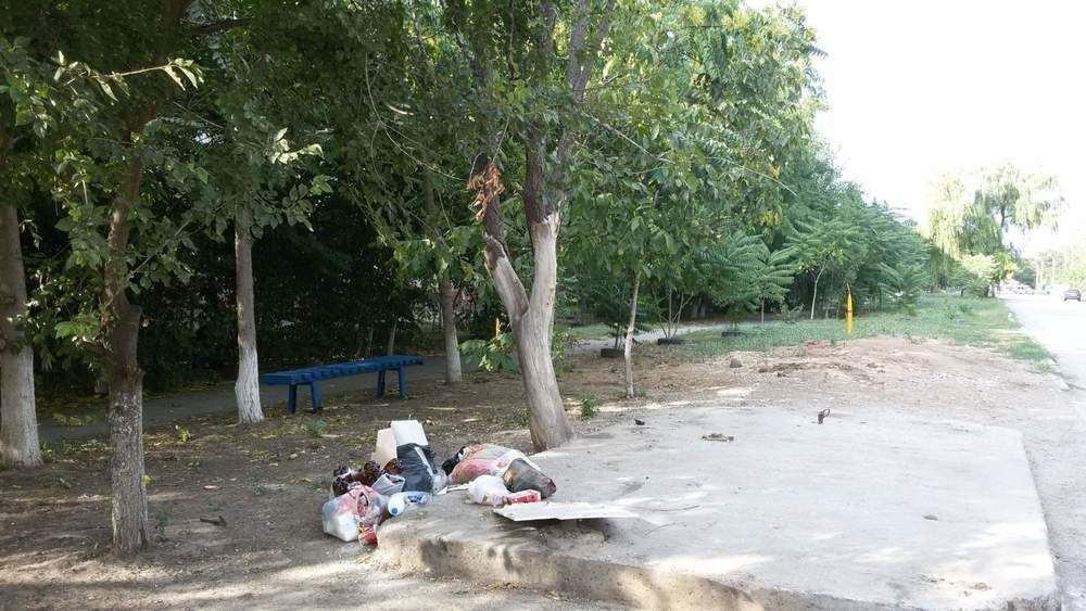 Жителям 100 квартир на Дзержинского некуда выкидывать мусор