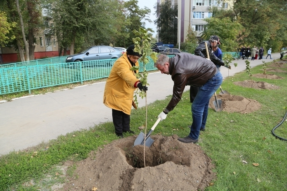Андрей Иванов посадил дерево на окраине Волгодонска