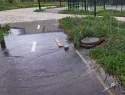 Недостроенный Молодежный парк ушел под воду