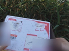 «Почту России» оштрафовали за разграбленные посылки волгодонцев