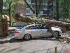 Остановка улетела, облицовка стен ушла за ней, машины давило деревьями: коварный штормовой шквал ударил по Волгодонску