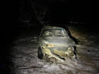 Врезалась в дерево: смертельная авария произошла в Дубовском районе 