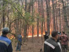 Чрезвычайная пожароопасность ожидается в Волгодонске и близлежащих районах 