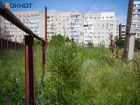 В Волгодонске фиксируют первые в этом году нарушения в виде нескошенной сорной растительности