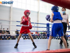 Сильнейшие спортсмены всего региона соберутся на Первенстве по боксу в Волгодонске 