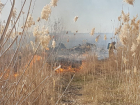 Штормовое предупреждение о чрезвычайной пожароопасности объявлено в Волгодонском районе