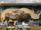 Виртуальный шерстистый носорог  и погружение в Саркел: музей в Волгодонске ждет большая реконструкция за 243 миллиона рублей 