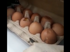 Волгодонец посоветовал проверять яйца, чтобы не попасть впросак после похода в магазин