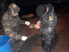За противозаконную рыбалку полицейские Волгодонска задержали браконьера 