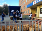 Питьевая вода, продукты и средства защиты: в ковидный госпиталь Волгодонска пришла гуманитарная помощь