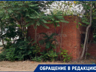  Логово бомжей и наркоманов рядом со станцией переливания крови раздражает местных жителей