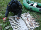 На 15-м котловане в Волгодонске поймали браконьера на резиновой лодке