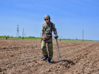 Кладоискатели из Волгодонска «поохотились» за монетами в Волгоградской области