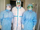 25 человек пополнили список зараженных коронавирусом в Волгодонске за сутки