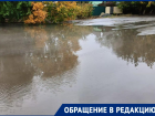 Легендарная гигалужа по переулку Донскому вышла на свет
