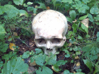 В Волгодонске в районе молокозавода нашли человеческие останки