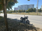 Сбил насмерть собаку 16-летний мотоциклист на проспекте Курчатова