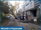 Летающие тарелки и падающие деревья: как Волгодонск переживает ураганный ветер 