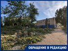 «Что за лесоповал?»: горожанка считает, что здоровые деревья погубили из-за участка земли на улице Черникова