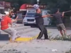 Волгодончанка сняла на видео уничтожение молодых деревьев у магазина «Магнит» 