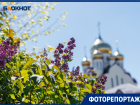Таким как сегодня,  Волгодонск можно увидеть лишь раз в году