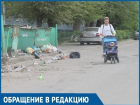«Как в фильме о постапокалипсисе»: Волгодончанка рассказала о мусорных развалах в старой части города 