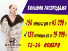 Большая распродажа в торговом доме «Куница»