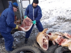 С рынков Волгодонска изъяли и уничтожили 264 килограмма «больного» мяса