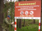 До 27 сентября волгодонцам в лесах будут не рады