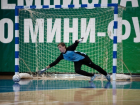 Футболисты высшей лиги сразятся на чемпионате Волгодонска