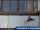 «Может это и смешно, но это живое существо!»: волгодонцы просят помочь спасти голубя, застрявшего на балконе