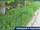 «А когда в городе начнут косить траву?»: жители старой части Волгодонска