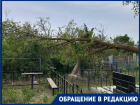 Дерево упало на могилы на старом кладбище в Волгодонске