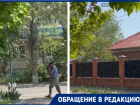 «Это уже крик души»: два гигантских тополя на улице Горького отравляют жизнь волгодонцам
