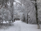 Ждать ли снег на Новый год: прогноз синоптиков на 31 декабря