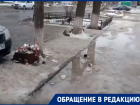  «Противно передвигаться по городу»: замусоренные улицы Волгодонска показали читатели