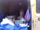 На въезде в Волгодонск задержали «Газель», забитую свежей рыбой
