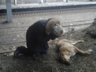 Недалеко от Волгодонска догхантеры травят бездомных и домашних собак