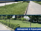 Волгодончанка указала предпринимателям и работникам АЭС на контраст между их ухоженной территорией и заросшим бульваром Великой Победы