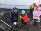 В честь 30-летия детского сада «Рябинушка» была высажена зеленая аллея