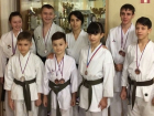 Школьники-каратисты из Волгодонска повергли на лопатки соперников со всей России