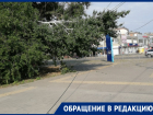 «Зато живые липы спилить - раз плюнуть»: напротив вокзала в Волгодонске деревья оборвали провода