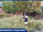 «Амброзия с человеческий рост!»: аллергики Волгодонска задыхаются от не скошенных растений