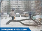 Коммунальщики бросили спиленное дерево и перекрыли въезд во дворы на улице Энтузиастов в Волгодонске 