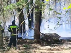 Сильный пожар охватил 1 гектар леса под Цимлянском