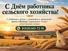 С Днём работника сельского хозяйства! ООО «Купец» поздравляет аграриев с профессиональным праздником
