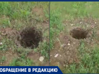 В Волгодонске продолжают воровать свежепосаженные деревья