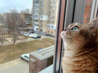 Пасмурный день ожидает волгодонцев сегодня 