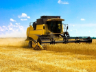 Датчане передумали выращивать пшеницу в Зимовниковском районе